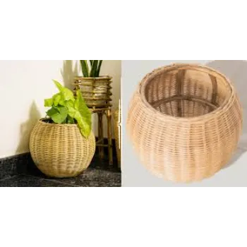 Decorative Plants